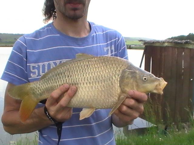 iarasi la pescuit - pic5419.JPG